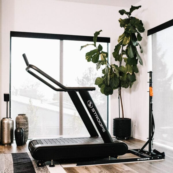 Arrow treadmill online