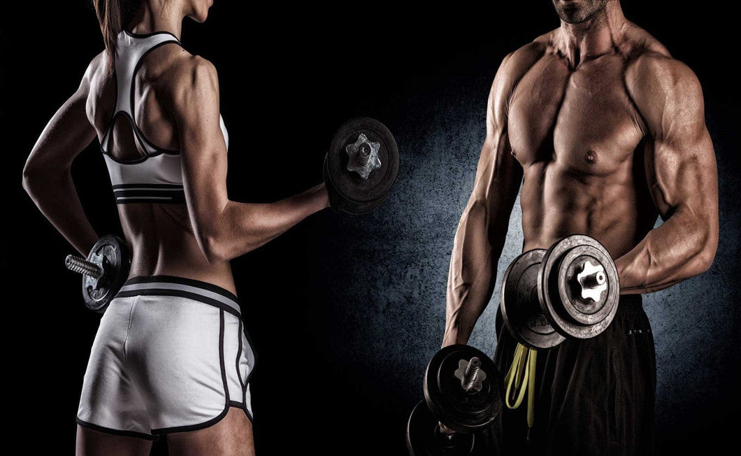 Bcf Training BCF Personal Training and Accountability Program Set Up – BestChoiceFitness