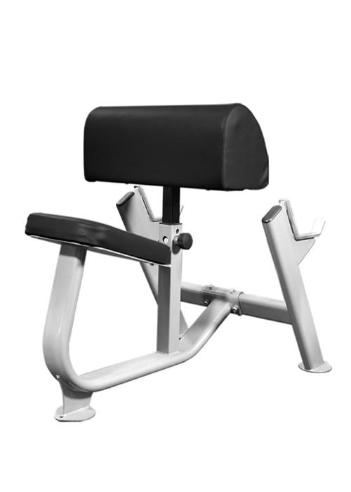 MUSCLE D FITNESS PREACHER CURL BENCH Benches Muscle D Fitness 